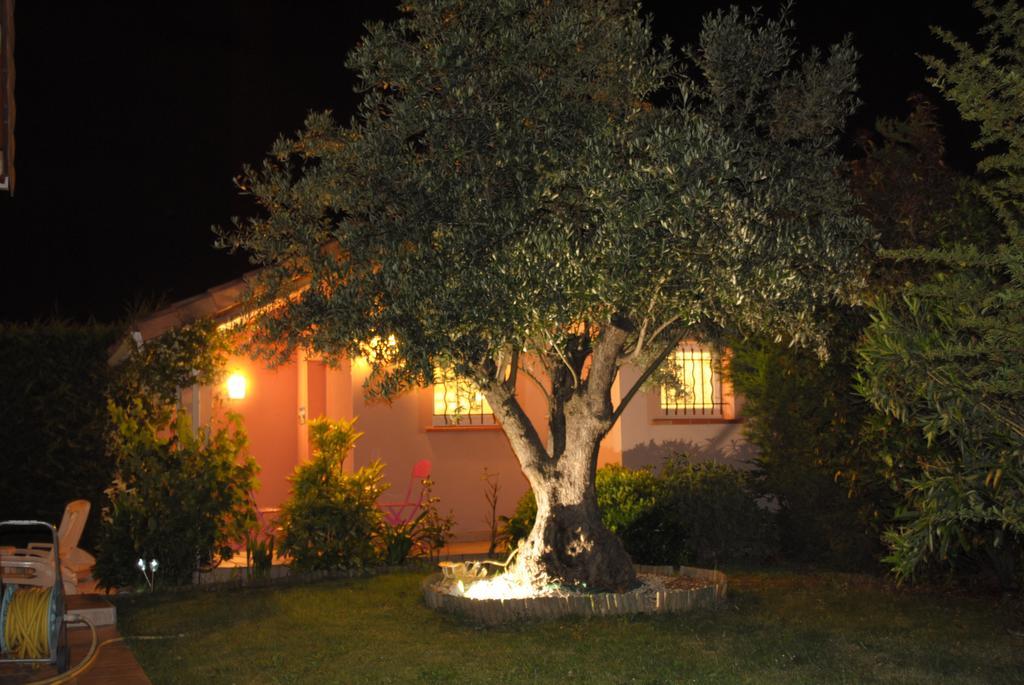 Les Cyprès Florentins Colomiers Camera foto