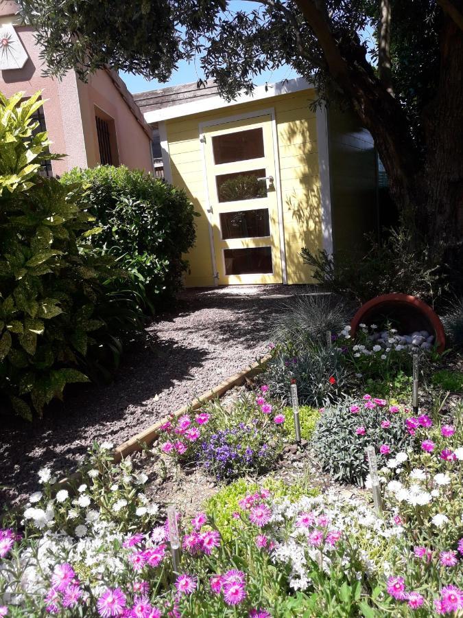 Les Cyprès Florentins Colomiers Esterno foto